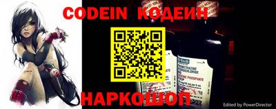 стаф Кингисепп