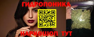 стаф Кингисепп