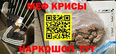 стаф Кингисепп